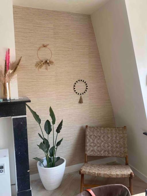 Apartment De Pauw *